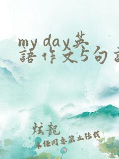 my day英语作文5句话