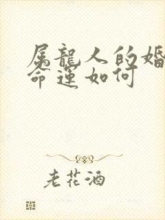 属龙人的婚姻与命运如何