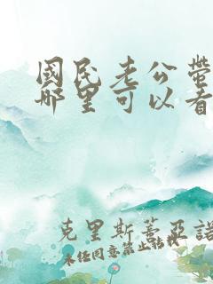 国民老公带回家哪里可以看
