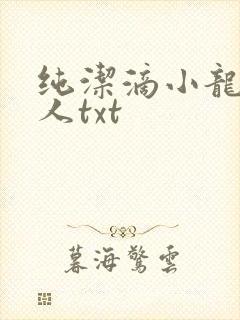 纯洁滴小龙捞尸人txt