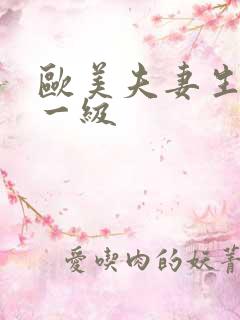 欧美夫妻生活片一级