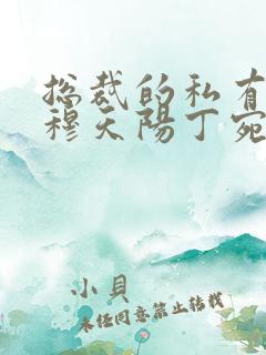 总裁的私有宝贝穆天阳丁宛情全本免费阅读