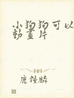 小狗狗可以看的动画片