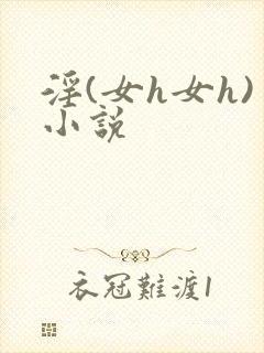 淫(女h女h)小说