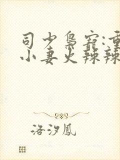司少枭宠:重生小妻火辣辣