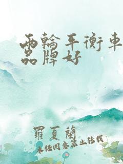 两轮平衡车哪个品牌好