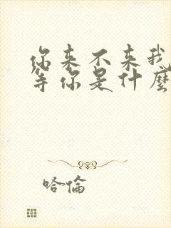 你来不来我都在等你是什么歌