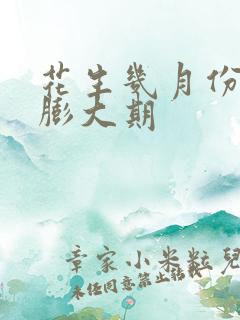 花生几月份是果膨大期