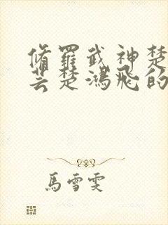 修罗武神楚风楚芸楚鸿飞的小说