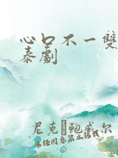 心口不一双男主泰剧