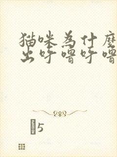 猫咪为什么会发出呼噜呼噜的声音