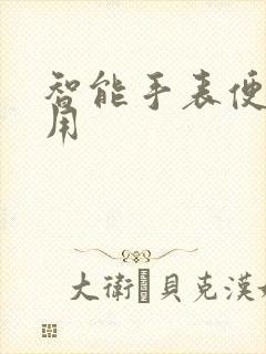 智能手表便宜实用