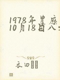 1978年农历10月18日八字算命