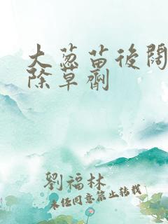 大葱苗后阔叶草除草剂