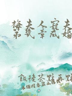 梅夫人宠夫日常第几章成婚
