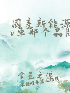 国产新能源suv车哪个品牌质量最好