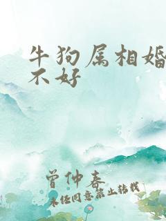 牛狗属相婚配好不好
