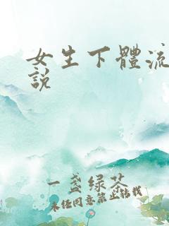 女生下体流水小说