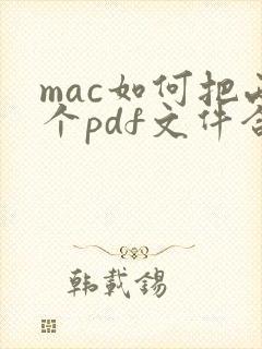 mac如何把两个pdf文件合二为一