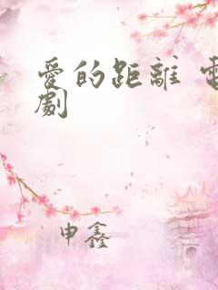 爱的距离 电视剧