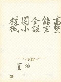 校园全能高手季枫小说完整版txt