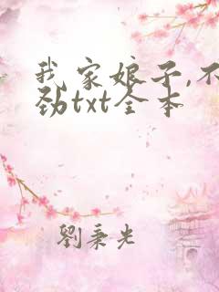 我家娘子,不对劲txt全本