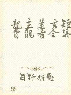龙主叶玄短剧免费观看全集