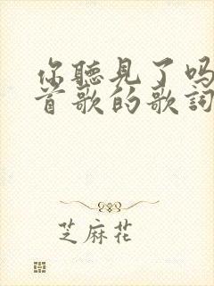 你听见了吗是哪首歌的歌词
