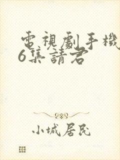 电视剧手机第36集请君