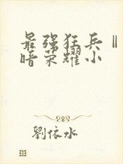 最强狂兵Ⅱ:黑暗荣耀小