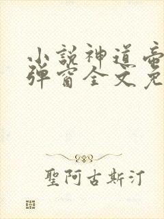 小说神道帝尊无弹窗全文免费阅读