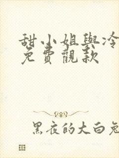 甜小姐与冷先生免费观款