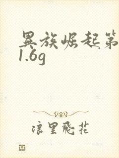 异族崛起第二章1.6g