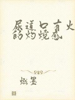 尿道口有火辣辣的灼烧感