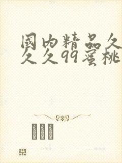 国内精品久久久久久99蜜桃