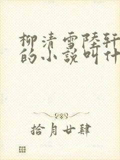 柳清雪陆轩傅深的小说叫什么?