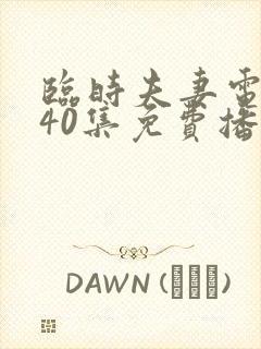 临时夫妻电视剧40集免费播放