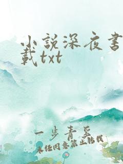 小说深夜书屋下载txt