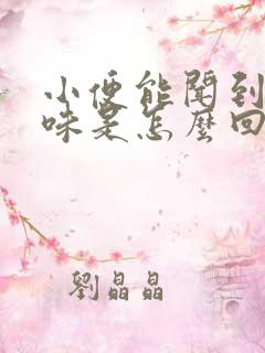小便能闻到骚臭味是怎么回事