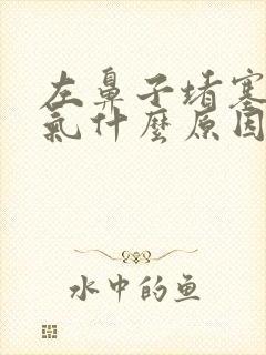 左鼻子堵塞不通气什么原因
