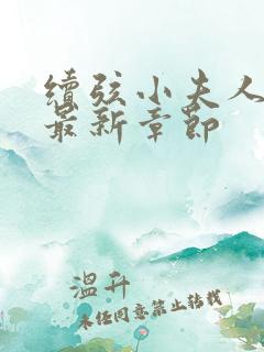 续弦小夫人下载最新章节