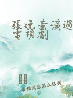 张晚意演过什么电视剧