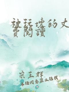 被玩坏的丈夫免费阅读
