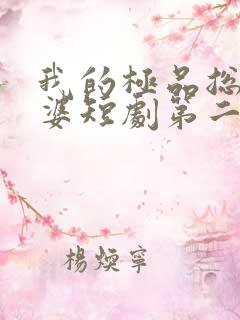 我的极品总裁老婆短剧第二集在线观看