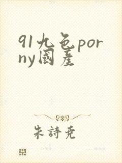 91九色porny国产