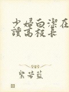 少妇白洁在线阅读高校长