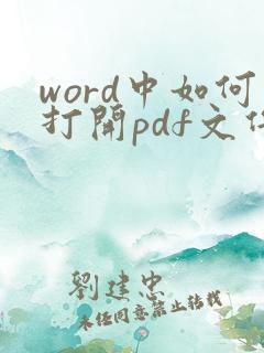 word中如何打开pdf文件