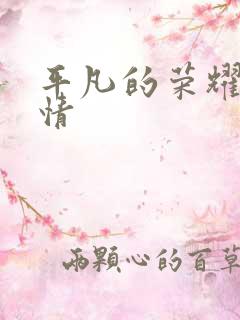 平凡的荣耀 剧情