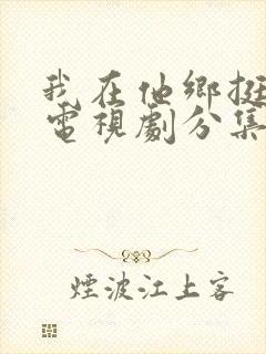我在他乡挺好的电视剧分集剧情介绍
