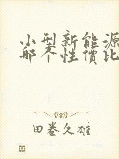 小型新能源汽车哪个性价比高